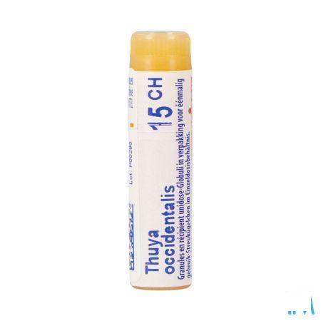 Thuya Occidentalis 15CH Gl  -  Boiron