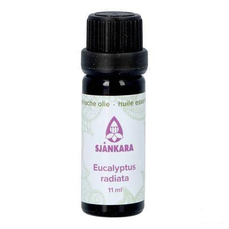 Sjankara Eucalyptus Radiata Ess. Olie Bio 11 ml