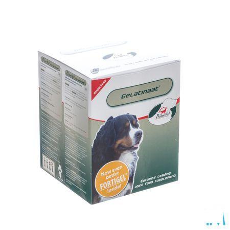 Primeval Chiens Artrose Gelatinate 500 gr 