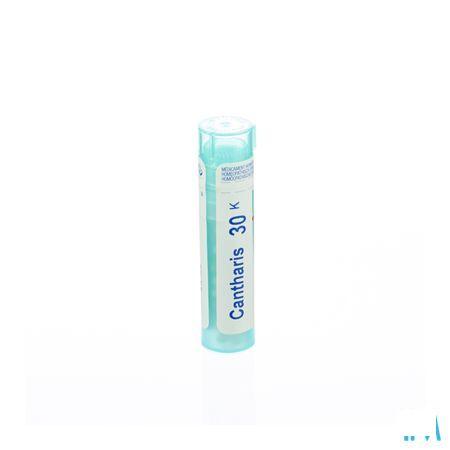 Cantharis 30K Gr 4g  -  Boiron
