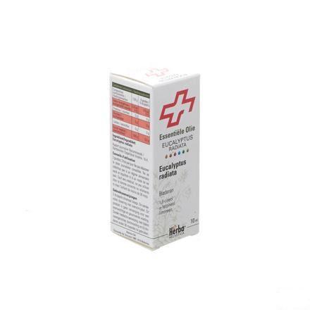 Eucalyptus Radiata Essentiele Olie 10 ml Helv.pharma  -  Helvetica Pharma Distribution