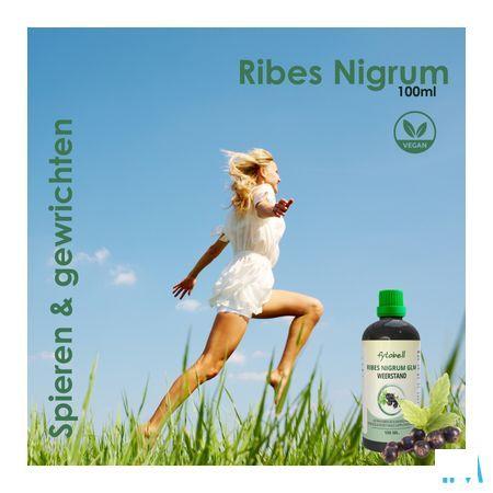 Fytobell Ribes Nigrum Glm 100 ml