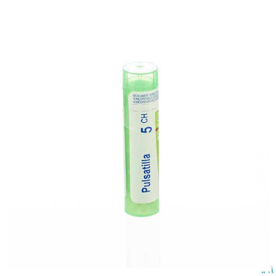 Pulsatilla 5CH Gr 4g  -  Boiron