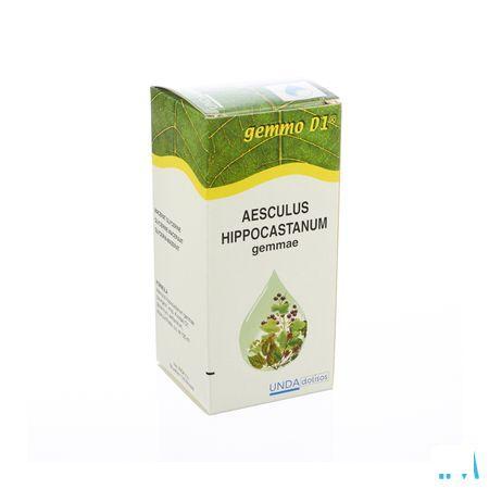 Aesculus Hippoc.gemmo D1 125 ml  -  Boiron