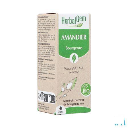 Herbalgem Amande Do Bio 30 ml