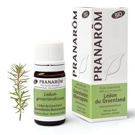 Ledon Groenland Bio Huile Essentielle 5 ml  -  Pranarom