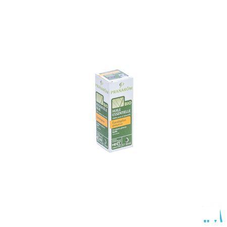 Eucalyptus Globulus Bio Essentiele Olie 10 ml  -  Pranarom