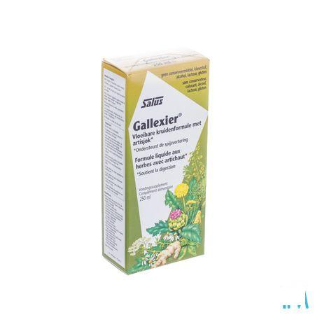 Salus Galaxier Artisjok Elixir 250 ml  -  Ocebio