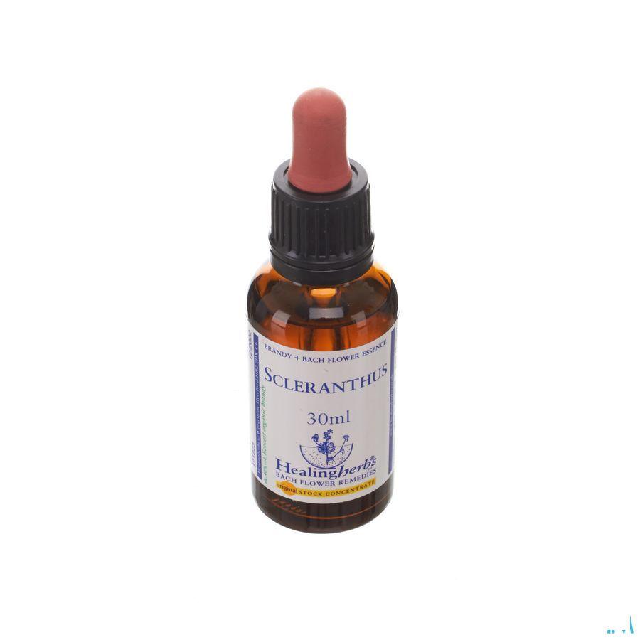 Healing Herbs Scleranthus 30 ml