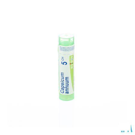 Capsuleicum Annuum 5CH Gr 4g  -  Boiron