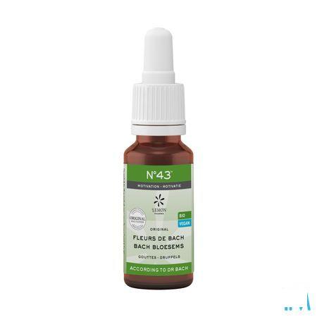 Bachbloesem Bio Nr 43 Druppels Motivatie 20 ml  -  Eureka Pharma