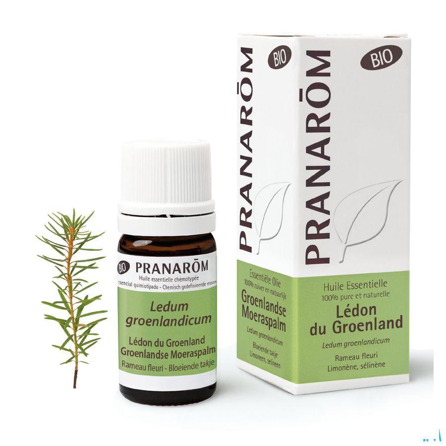 Ledon Groenland Bio Huile Essentielle 5 ml  -  Pranarom