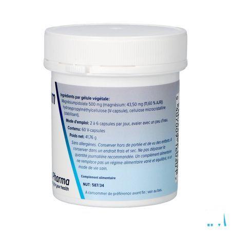 Magnesiumpidolaat V-Capsule 60x500 mg  -  Deba Pharma