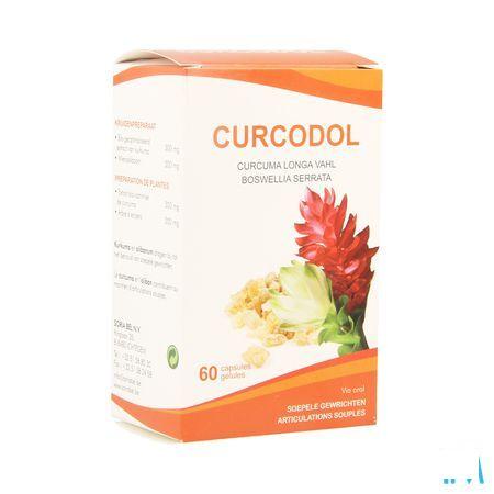 Soria Curcodol 60 Capsule  -  Soria Bel