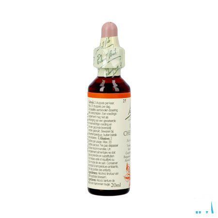 Bach Flower Remedie 25 Red Chestnut 20 ml