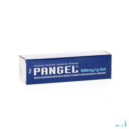 Pangel 10 % Gel 60 gr