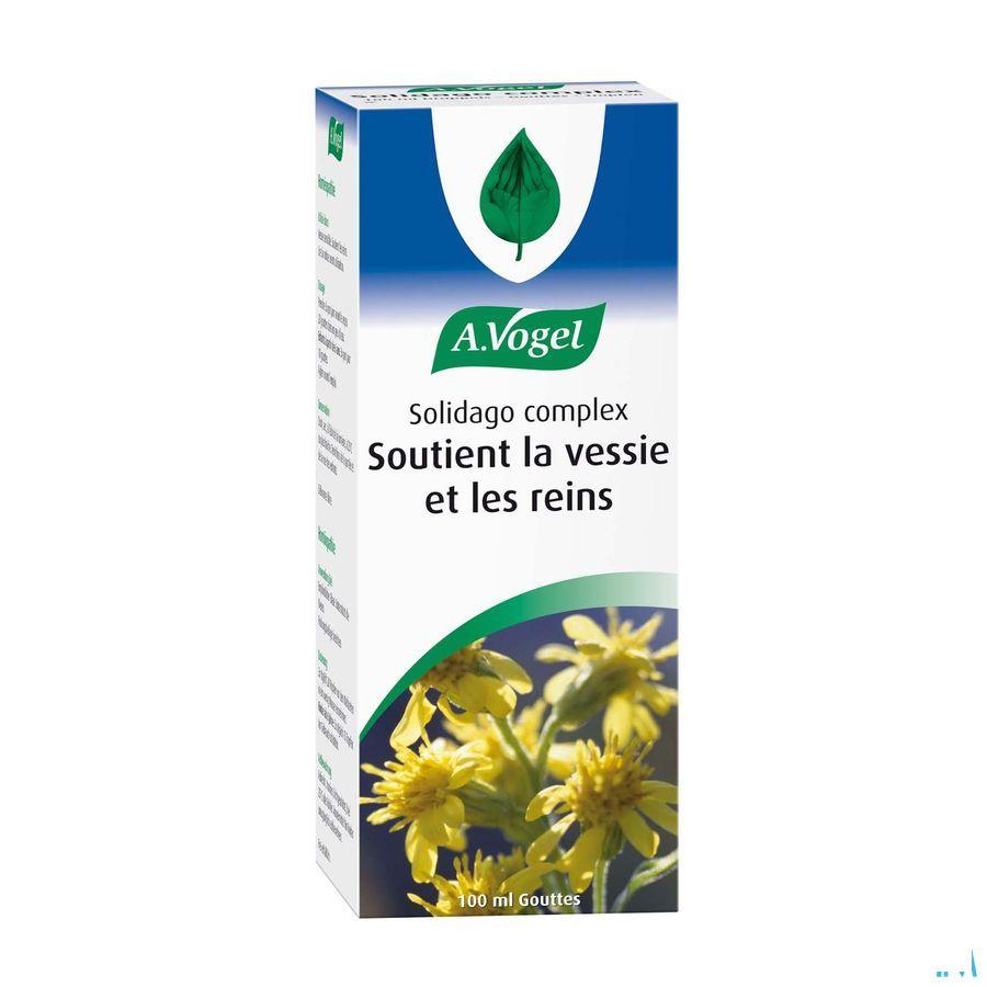 Vogel Solidago Complex Druppels 100 ml  -  A.vogel