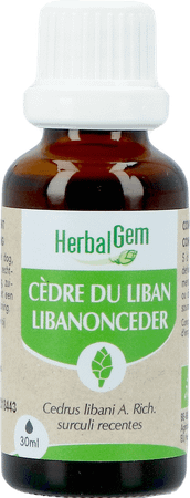 Herbalgem Cedre Bio 30 ml