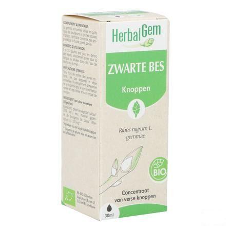 Herbalgem Zwarte Bes Maceraat 30 ml  -  Herbalgem