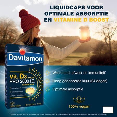 Davitamon Vegan Vit.D3 2800Iu 24 Caps Be  -  Perrigo