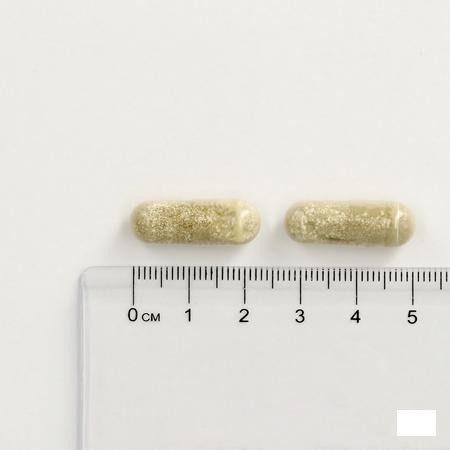 Promagnor Relaxation Capsule 60