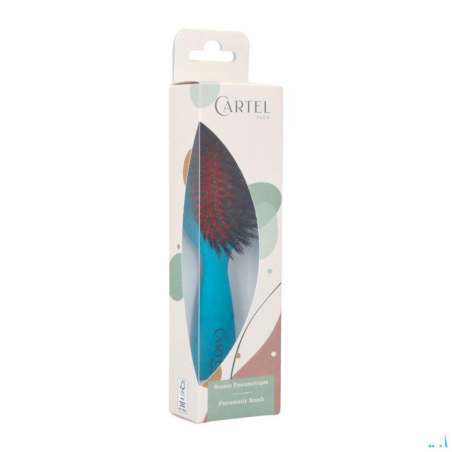 Cartel Brosse Pneumatique 100% Sangl.Sac Couleur  -  Vitry