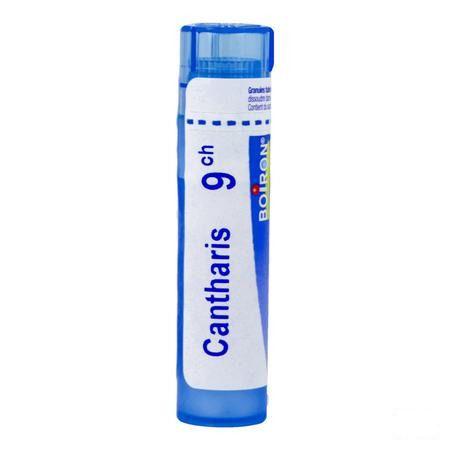 Cantharis 9CH Gr 4g  -  Boiron
