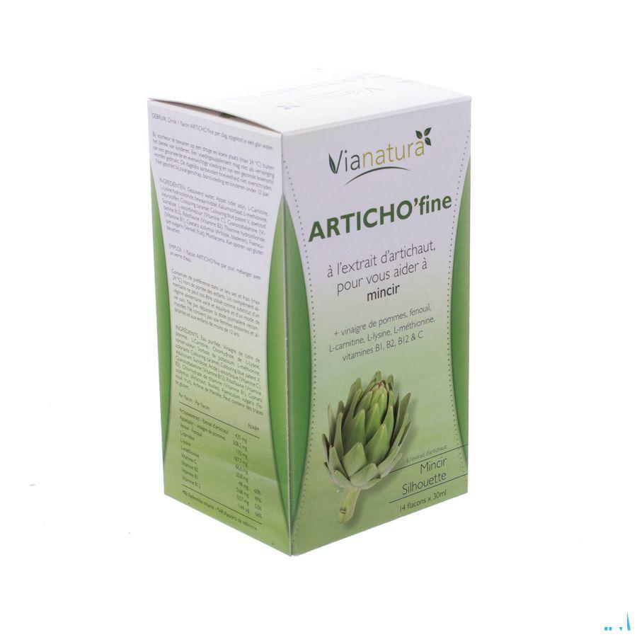 Via Natura Articho Fine 14x30 ml  -  Ocebio