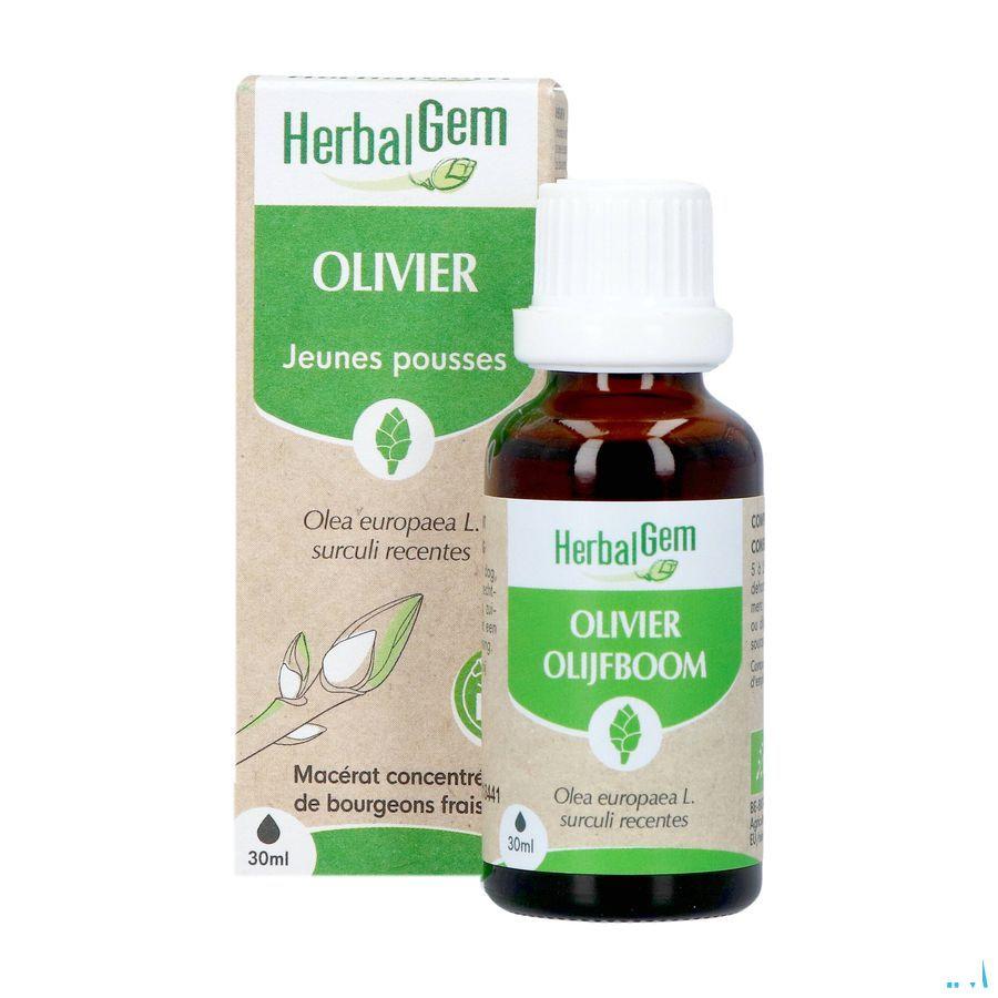 Herbalgem Olijfboom Bio 30 ml