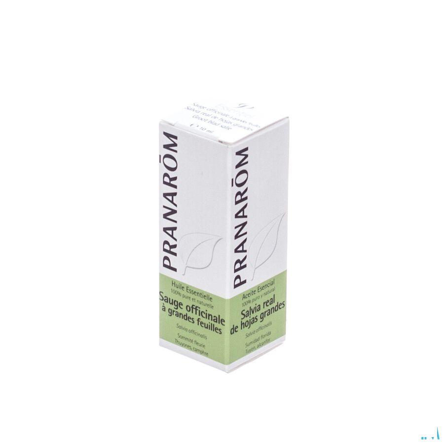 Salie Officinal Essentiele Olie 10 ml  -  Pranarom