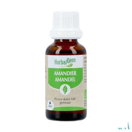 Herbalgem Amande Do Bio 30 ml