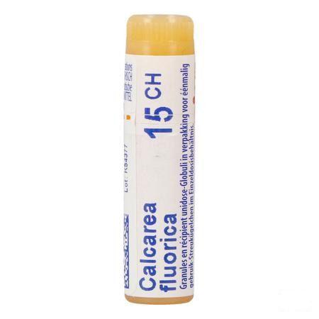 Calcarea Fluorica 15CH Gl  -  Boiron