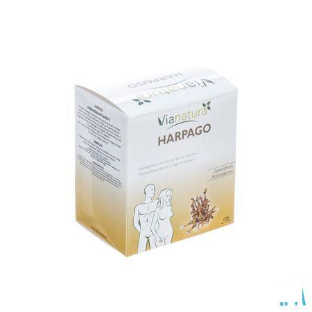 Harpago Tabletten 120x93g  -  Biover