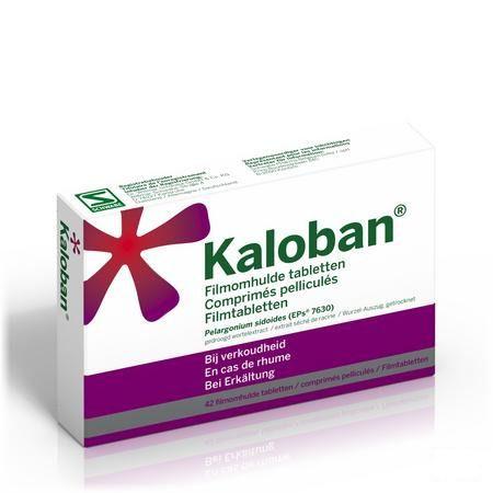 Kaloban Comprimes Pell 42 X 20 mg  -  VSM