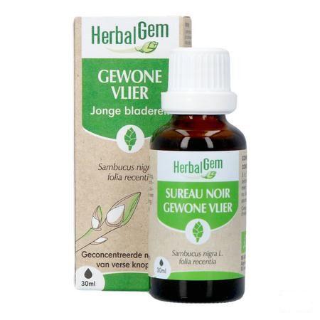 Herbalgem Sureau Noir Bio 30 ml