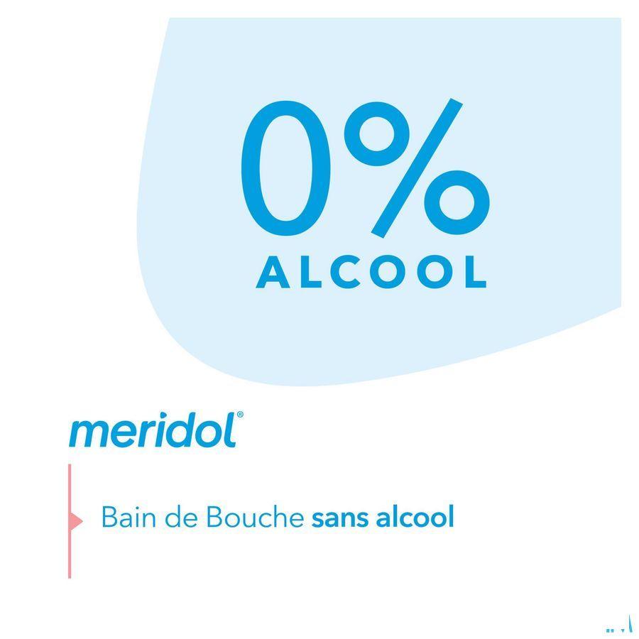 Meridol Eau Buccale Protect. Gencives & Hal.Fr.400 ml