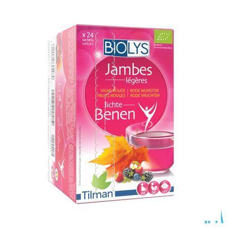 Biolys Rode Wijnstok Rode Vruchten Zakjes 24  -  Tilman