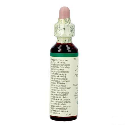 Bach Flower Remedie 04 Centaury 20 ml