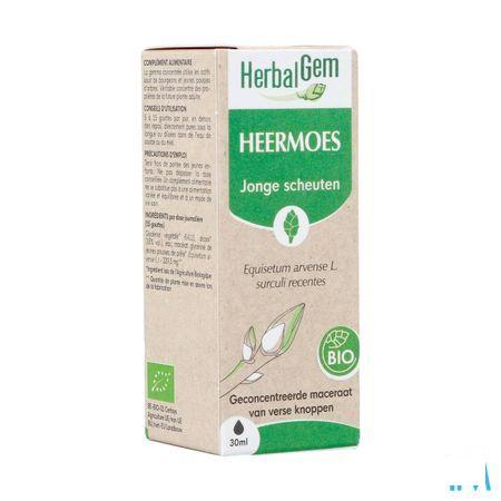 Herbalgem Heermoes Bio 30 ml