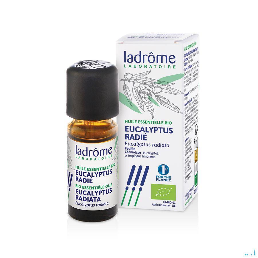 Mannavita Huile Essentielle Eucalyptus Radiata 10 ml