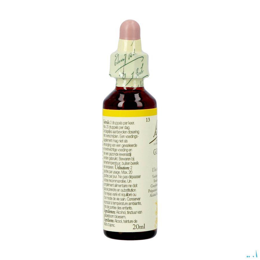Bach Flower Remedie 13 Gorse 20 ml