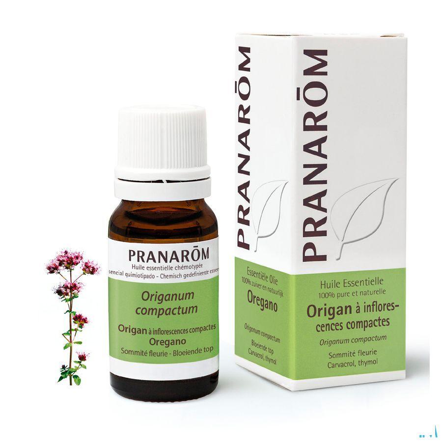 Oregano Inflor. Essentiele Olie 10 ml  -  Pranarom