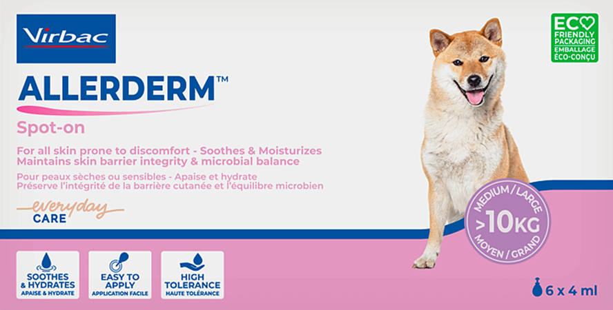 Allerderm Spot-On Pipet 6X4ml