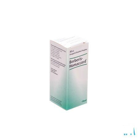 Berberis-homaccord Druppels 30 ml  -  Heel