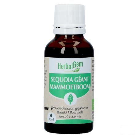 Herbalgem Mammoetboom Bio 30 ml