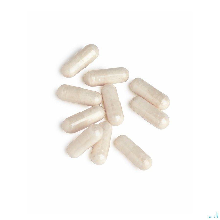 Biotics Chondrosamine-S 90 capsules  -  Energetica Natura