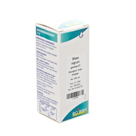 Ribes Nigrum Gemmo D1 60 ml  -  Boiron