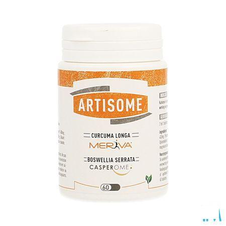 Artisome Tabletten 60 X 1000 mg  -  Dynarop Products