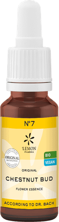 Bachbloesem Bio Nr 07 Chestnut Bud 20 ml  -  Eureka Pharma