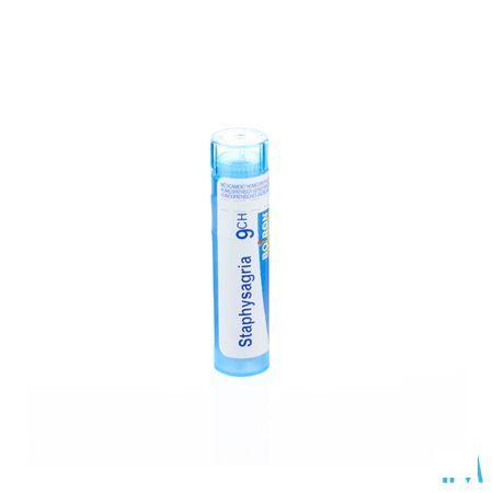 Staphysagria 9CH Gr 4g  -  Boiron